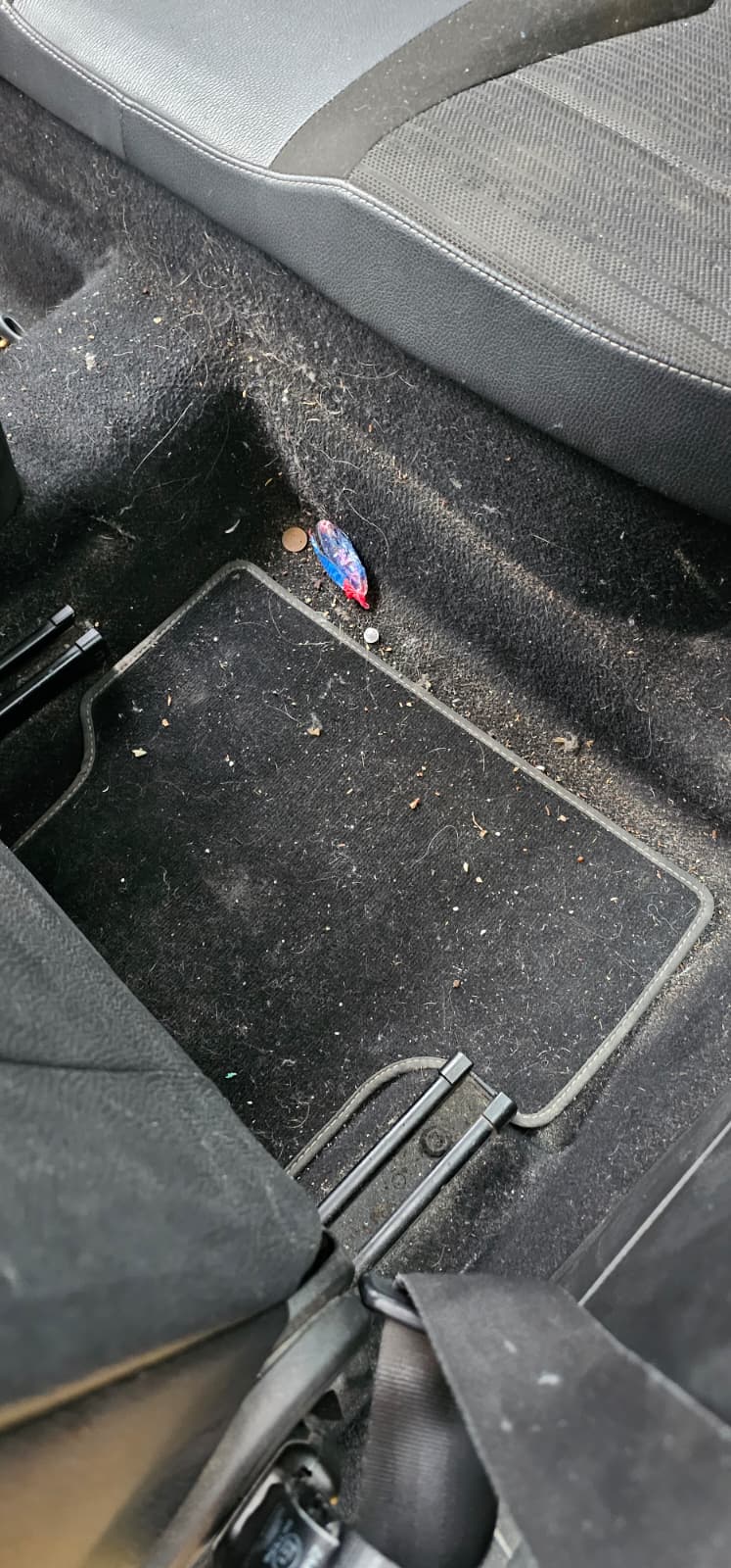 511760b7 e7b7 4e3e 88cc 3d35c24686e3